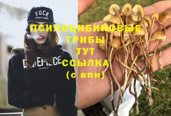 кокаин Алексеевка
