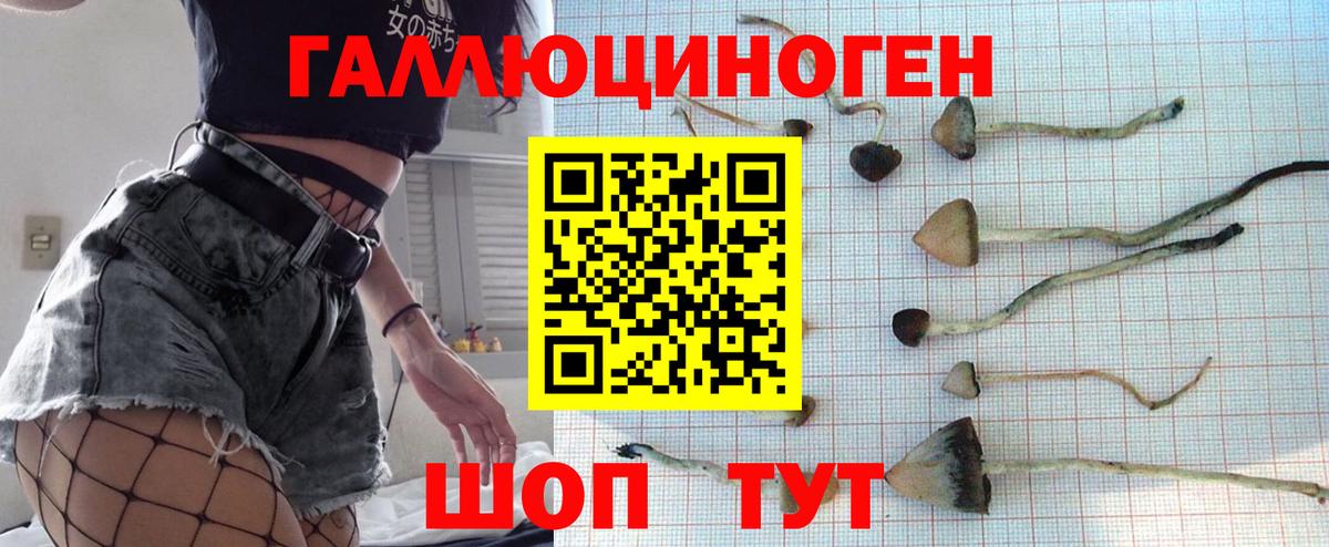 Псилоцибиновые грибы Psilocybine cubensis  Вход с VPN  Ртищево  Галлюциногенные грибы мицелий 