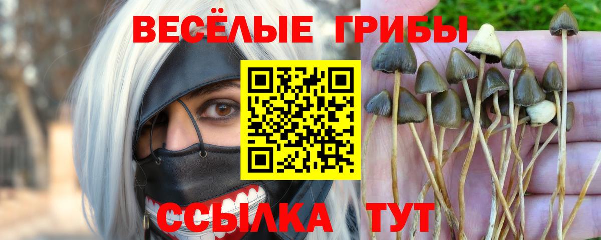 Галлюциногенные грибы Magic Shrooms Ртищево